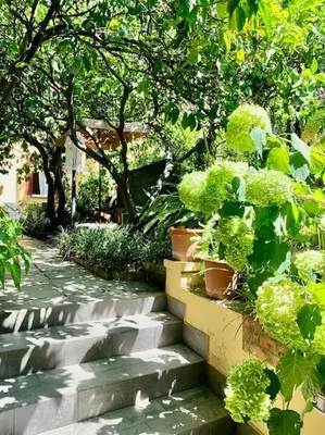 Giardino di Casa Adele