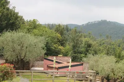 Vista generica sulle montagne o vista sulle montagne dall'interno dell'appartamento