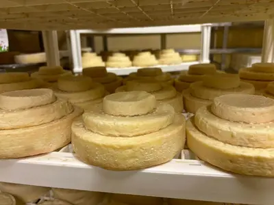 Planimetria di Tenuta Ca' Bella