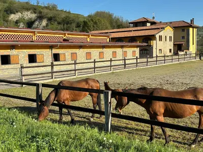 Altri animali domestici presso l'agriturismo o nei dintorni