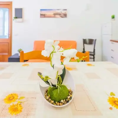 139b - Casa Santa Vittoria