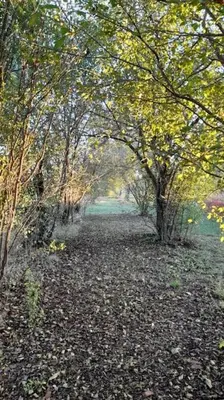 Giardino di Appartamento Bosco in Città