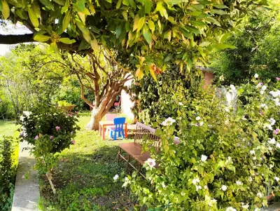 Giardino di Ca Du Stea