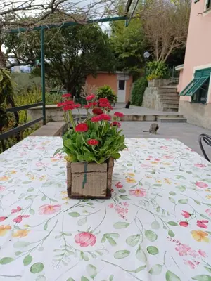 Giardino di Ca Du Stea