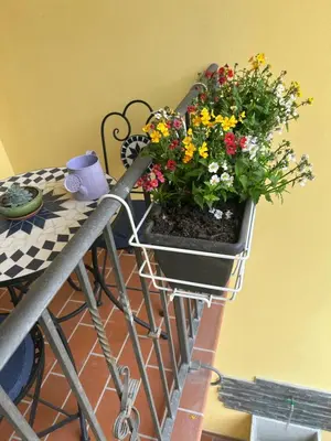 Planimetria di Ca' Martina