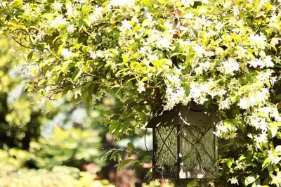Giardino di Le Querce Hotel