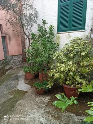 Giardino di Country House