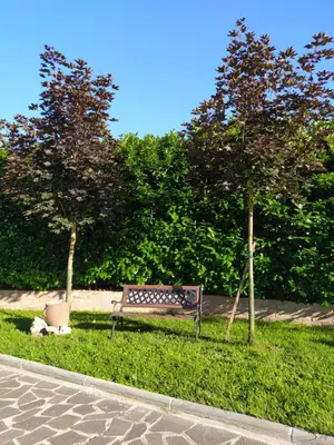 Giardino di Soggiorno in Relax