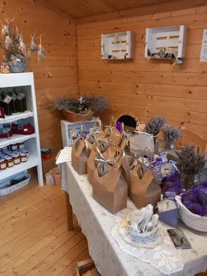 Planimetria di Azienda agrituristica La Borgaccia