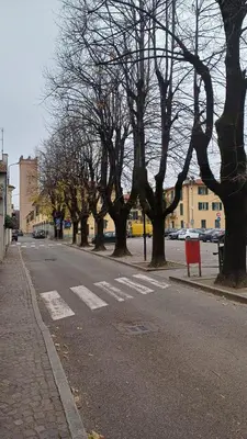 Il quartiere o una zona nella vicinanze dell'appartamento