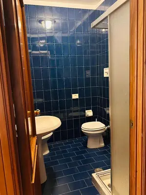 Bagno di Hotel Business