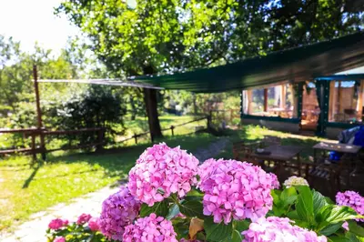 Giardino di B&B Cadrecca Tra Terra Luna e Mare
