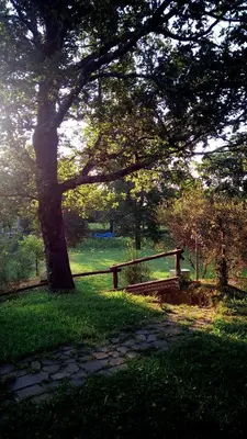Giardino di B&B Cadrecca Tra Terra Luna e Mare