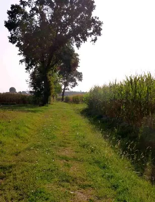 Paesaggio naturale nelle vicinanze dell'affittacamere