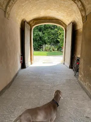 Planimetria di Piacenza centro