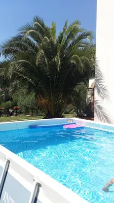 Piscina di Relax nella Natura o nelle vicinanze