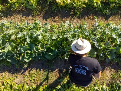 Ospiti di Saranto, Maison du charme - Nel cuore verde dell'Emilia