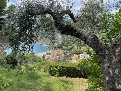 Paesaggio naturale nelle vicinanze dell'appartamento
