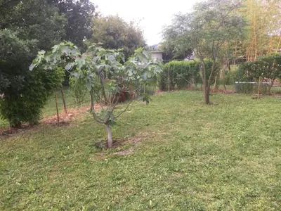 Giardino di B&B San Giorgio