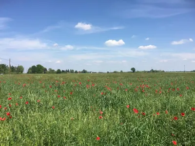 Paesaggio naturale nelle vicinanze del bed & breakfast