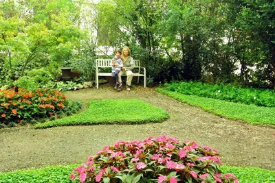 Giardino di Villa Laila