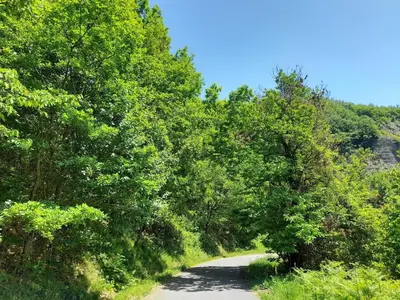 Paesaggio naturale nelle vicinanze dell'appartamento