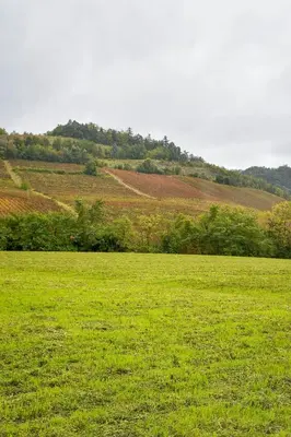 Paesaggio naturale nelle vicinanze della casa vacanze