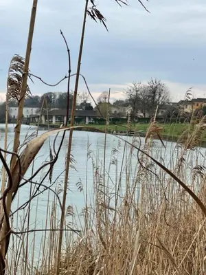 Vista sul fiume nelle vicinanze della casa vacanze