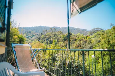 Vista generica sulle montagne o vista sulle montagne dall'interno della casa vacanze