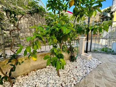 Giardino di Casa Alis