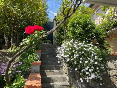 Giardino di Cottage con vista mozzafiato sul mare - Monterosso al mare