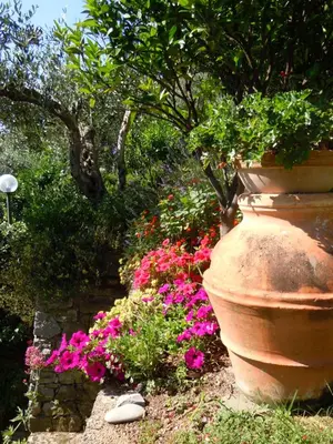 Giardino di Cottage con vista mozzafiato sul mare - Monterosso al mare