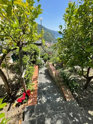 Vista generica sulle montagne o vista sulle montagne dall'interno della casa vacanze