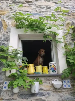 Planimetria di Rustico tra gli Ulivi