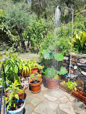 Giardino di Rustico tra gli Ulivi
