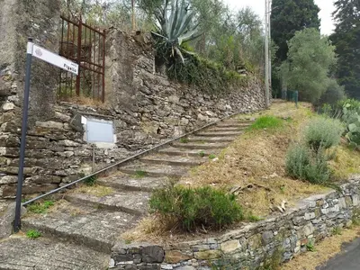 Planimetria di Rustico tra gli Ulivi