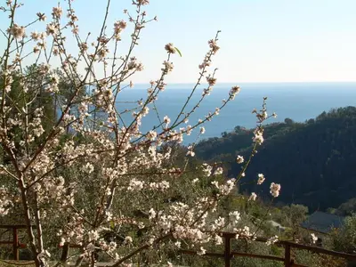 Paesaggio naturale nelle vicinanze dell'appartamento