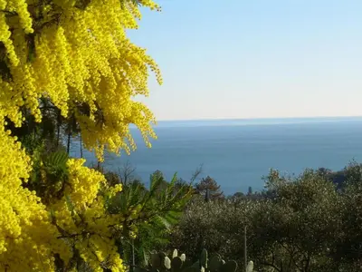 Paesaggio naturale nelle vicinanze dell'appartamento