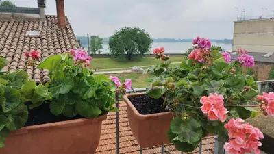 Giardino di Bellavista Mantova