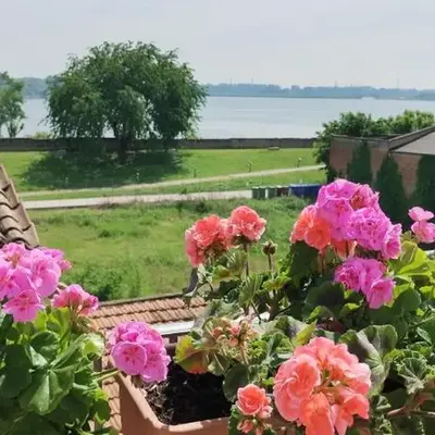 Bellavista Mantova
