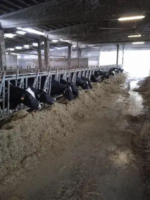 Planimetria di B & b da Gisella - Agriturismo Podere Barzia