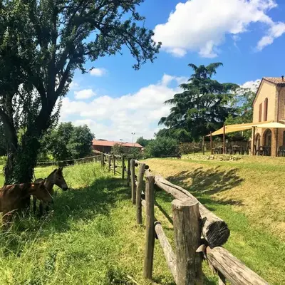 Agriturismo Il Colle del Falco