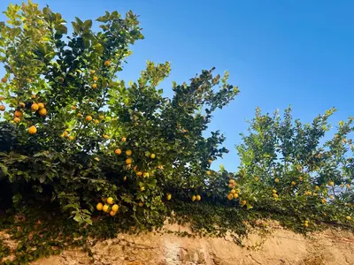 Paesaggio naturale nelle vicinanze dell'appartamento