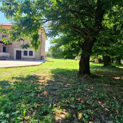 Sentinella dei castagni