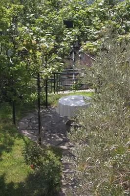 Giardino di Una casa nel verde sulle colline di Lavagna