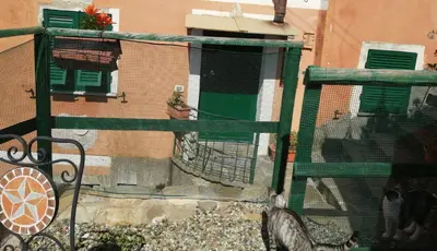 Planimetria di Maremonti