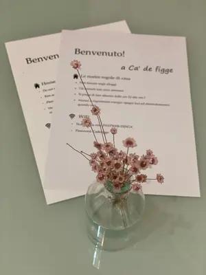 Planimetria di Ca'de figge