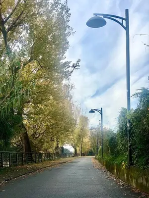 Planimetria di Ca'de figge
