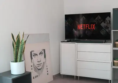 TV o dispositivi per l'intrattenimento presso Loft Apartment