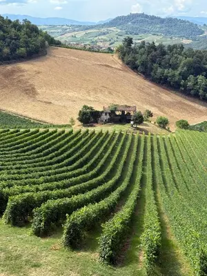 Paesaggio naturale nelle vicinanze della villa